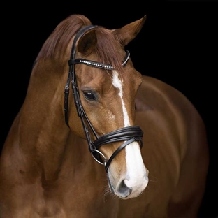 Imperial Riding trense "Fria" - sort