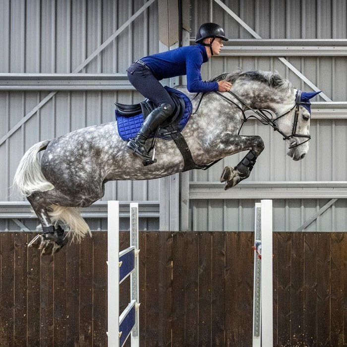 LeMieux Classic Loire Jumping underlag - ink blue