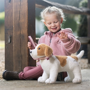 Lemieux "Mini Puppy" jack russell - Jack 