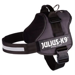 Julius-K9 IDC sele, mørke grå