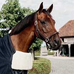 Hest med Kentucky horseware chest protection