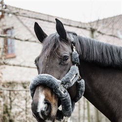 Se den lækre lammeskindsgrime fra Kentucky på hest her