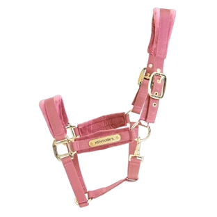 Kentucky grime i lyserød