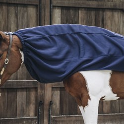 Se hvordan Kentucky halsdækkenet sidder på hest