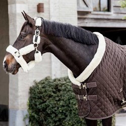 Tæt på hestehoved af hest med Kentucky Show Rug i brun