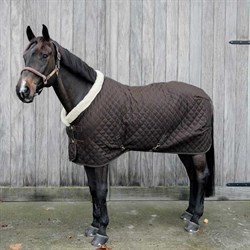 Hest står med Kentucky Show Rug i brun