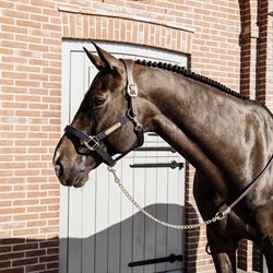 Kentucky træktov i kunstlæder med kæde - brun