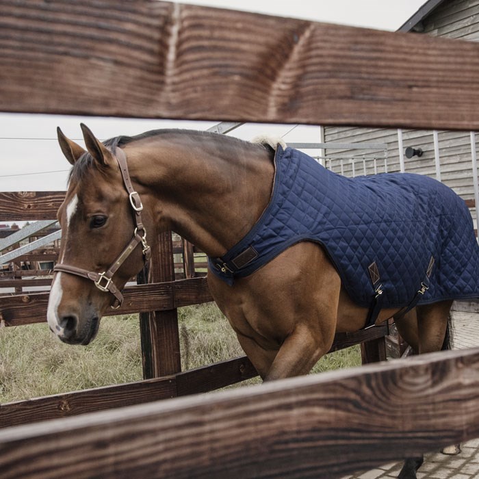 Kentucky dækken "Walker" - navy