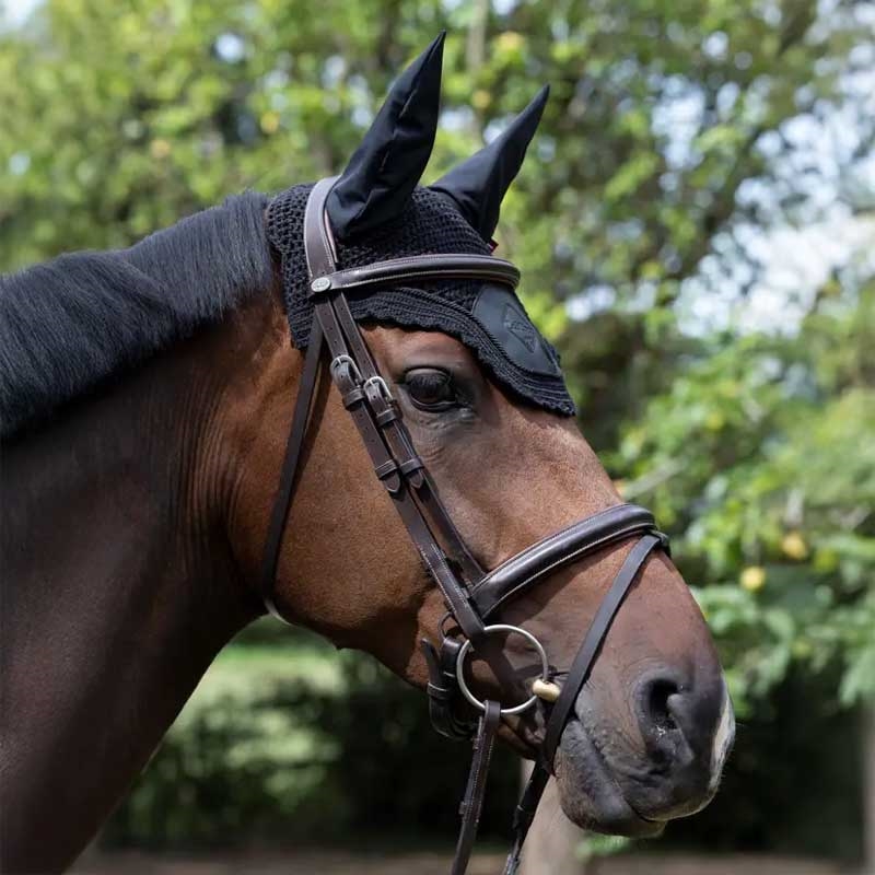 LeMieux hut "Acoustic Pro" - sort