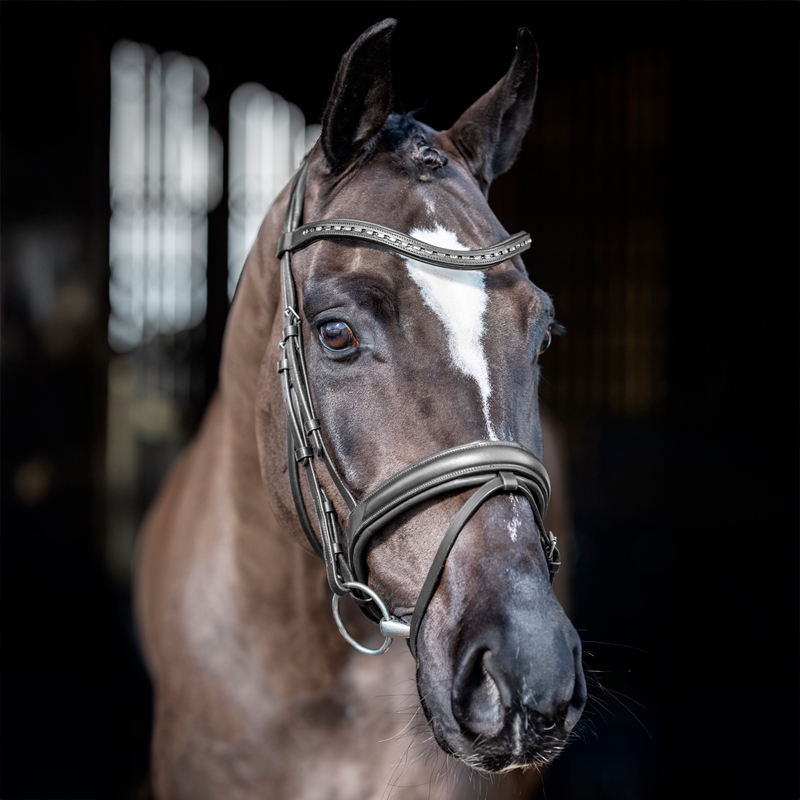LeMieux trense "Arika Dressage" - sort/sort