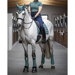 På hest LeMieux Dressage Carbon Mesh Air underlag - sage