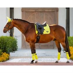 LeMieux Classic Loire Dressage underlag - Kiwi