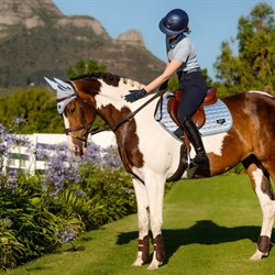 LeMieux Classic Loire Jumping underlag - Mist