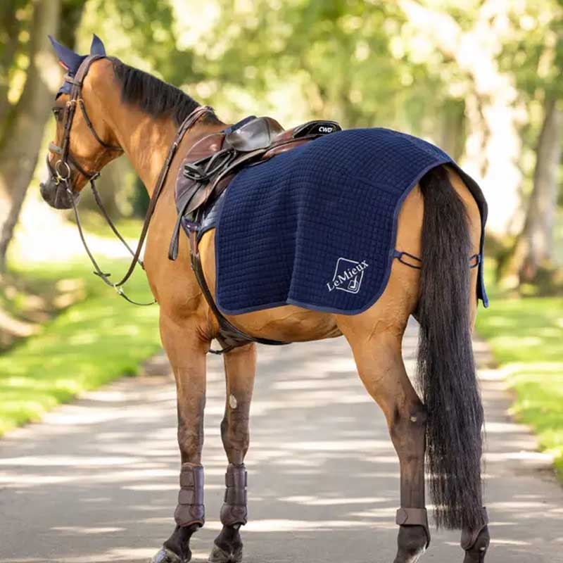 LeMieux \'\'Clima-tek" lændedækken - navy set lidt bagfra