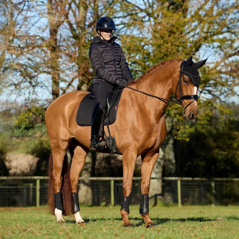 LeMieux Dressage Cotton underlag - sort