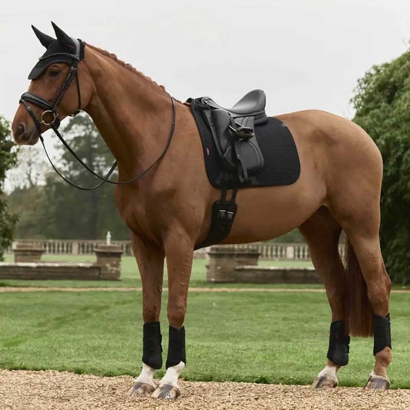 LeMieux "Essence dressage" underlag - sort - på hest