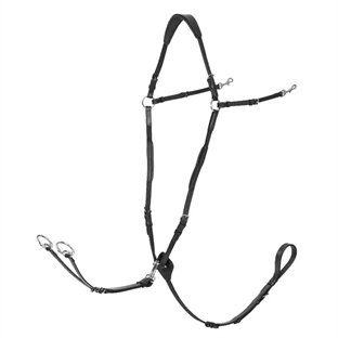 Lemieux fortøj D-Ring - sort