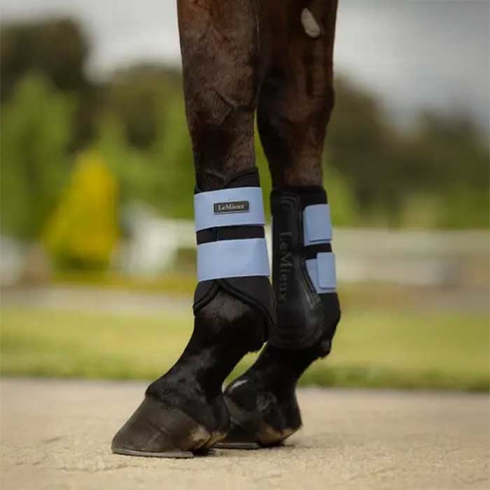 LeMieux gamacher "Air-Tek Grafter Brushing" - Powder Blue