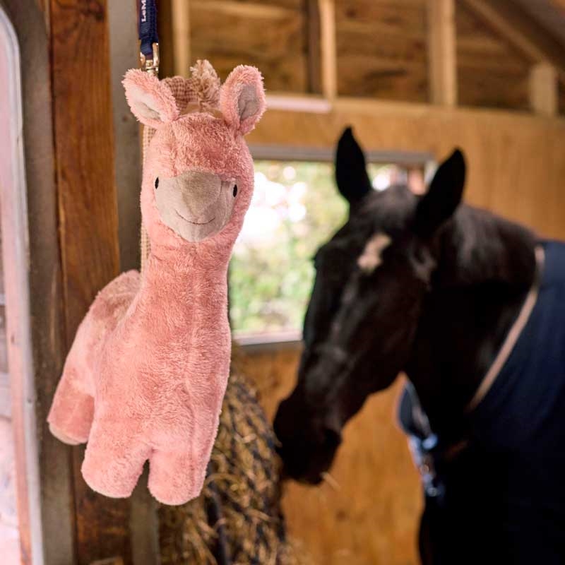 Hestelegetøj lama
