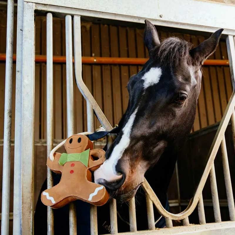 Lemieux hestelegetøj - honningkagemand i stald med hest