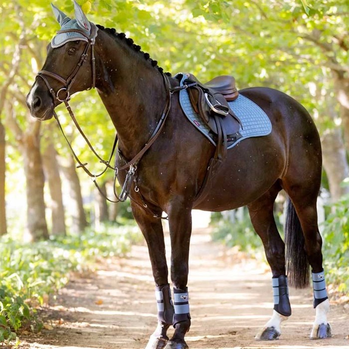 Ice blue Suede underlag fra LeMieux ses på hest