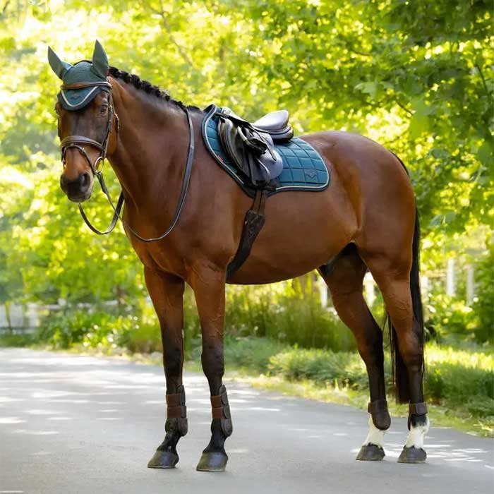 LeMieux Classic Loire Jumping underlag - Jungle
