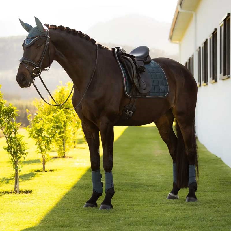 LeMieux Classic Loire Dressage underlag - Jungle