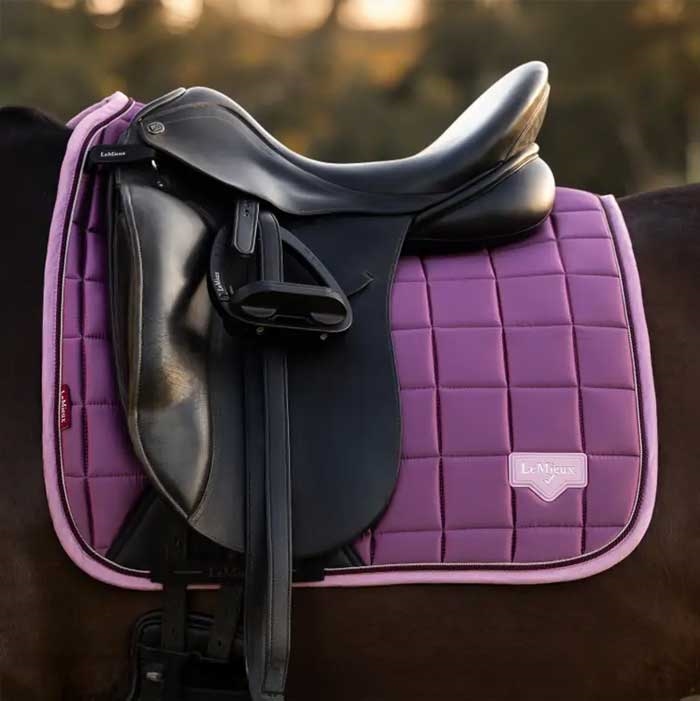 LeMieux Classic Loire Dressage underlag - Mallow