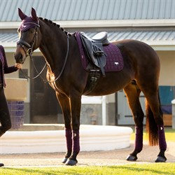 LeMieux Classic Loire Dressage underlag - Fig