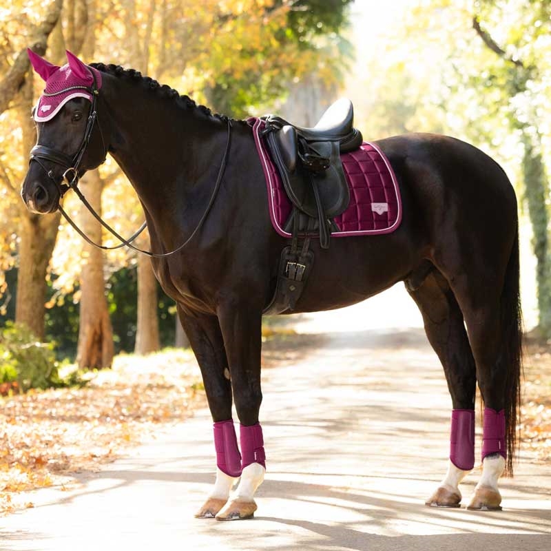 LeMieux Classic Loire Dressage underlag - Blackberry