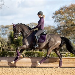 LeMieux Classic Loire Dressage underlag - Fig