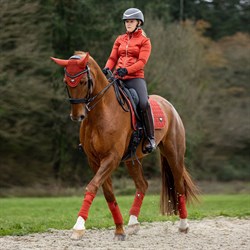 LeMieux Classic Loire Dressage underlag - Sienna