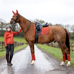 LeMieux Classic Loire Dressage underlag - Sienna