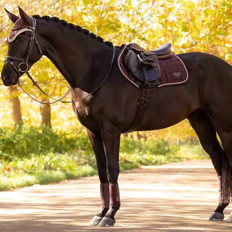 LeMieux Classic Loire Jumping underlag - Damson på hest