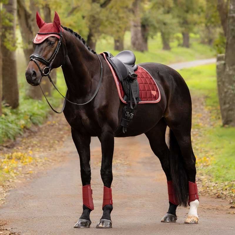LeMieux Classic Loire Dressage underlag - Russet