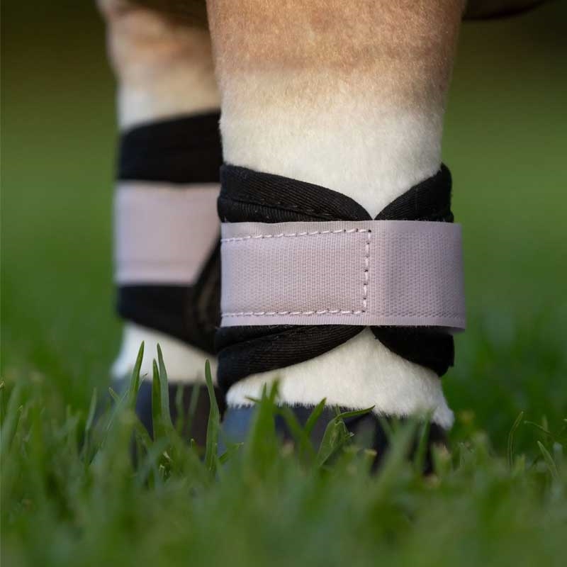 LeMieux "Mini Pony" gamacher - lilac på mini pony