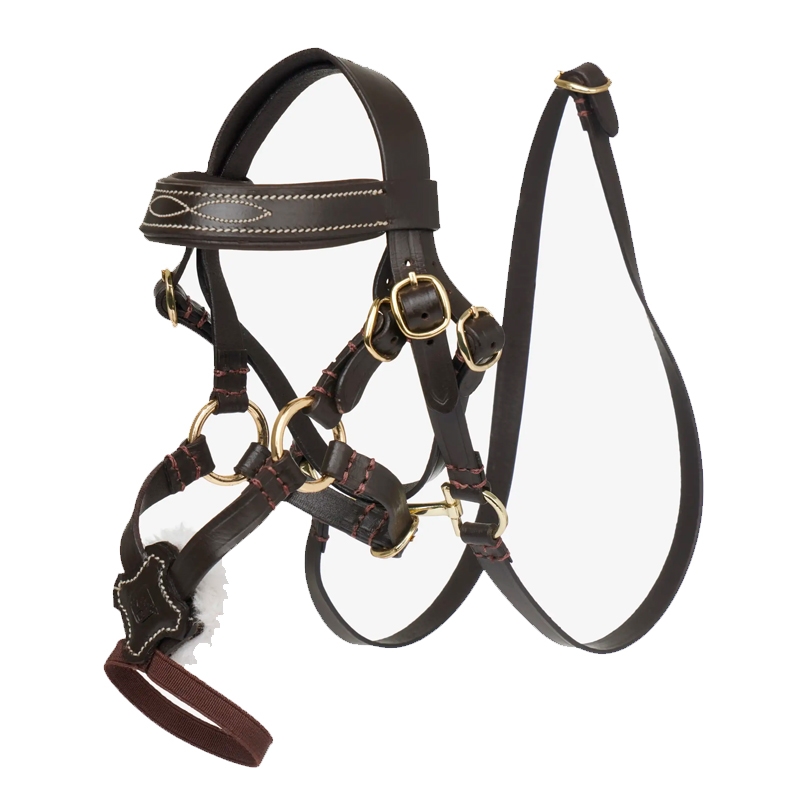 Lemieux "Mini Pony" mexikansk trense - brun