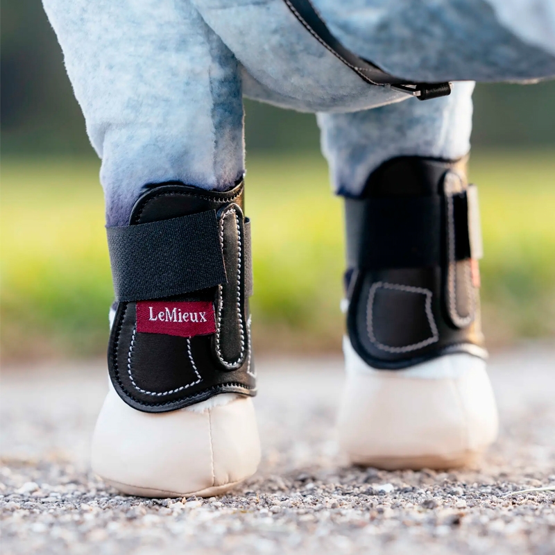 Spring gamacher til mini pony forben