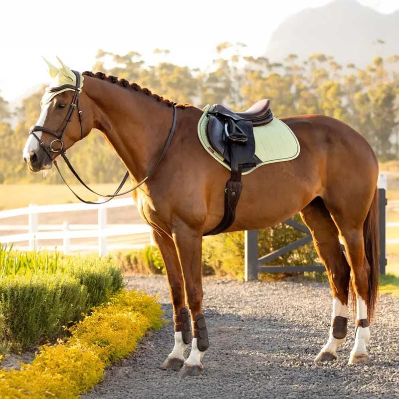 LeMieux Jumping Suede underlag - Macaron