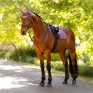 LeMieux Jumping Suede underlag - Mallow