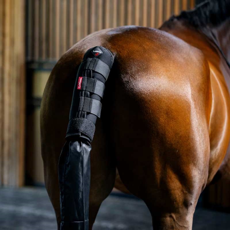 LeMieux halebeskytter m. pose - sort