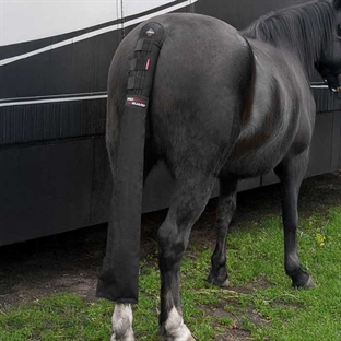 LeMieux halebeskytter m. pose - sort