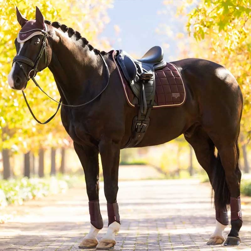 LeMieux Classic Loire Dressage underlag - Damson på hest der står