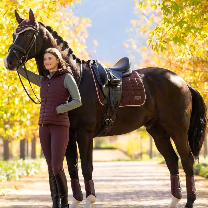 LeMieux Classic Loire Dressage underlag - Damson på hest der trækkes