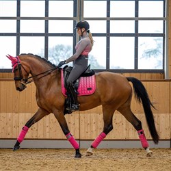 Hest rider med LeMieux "Spectrum Dressage" underlag - Watermelon/Grå 