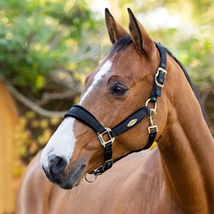 LeMieux "Versailles" grime - sort på hest