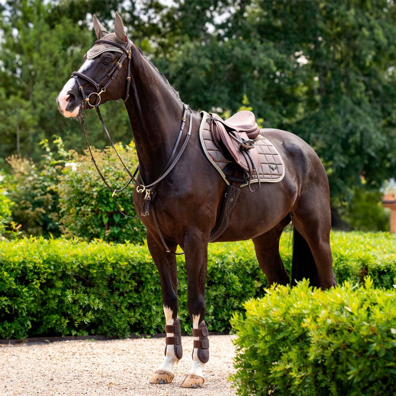 LeMieux Classic Loire Jumping underlag - walnut