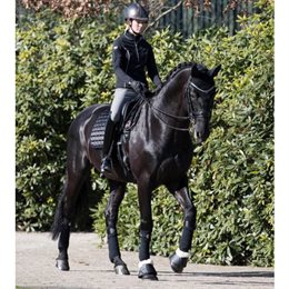 LeMieux Classic Loire Dressage underlag - sort