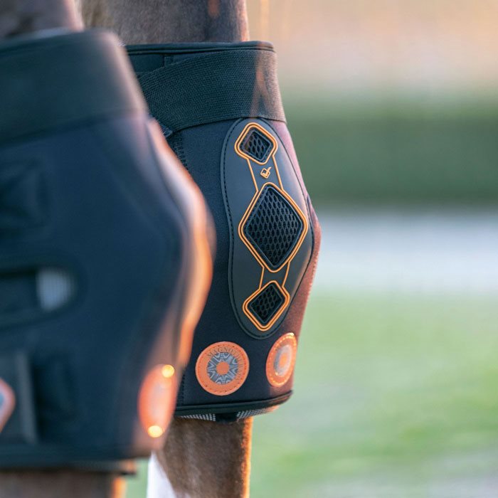 Lemieux Conductive Magno Hock Boots - hasebandager med magnet