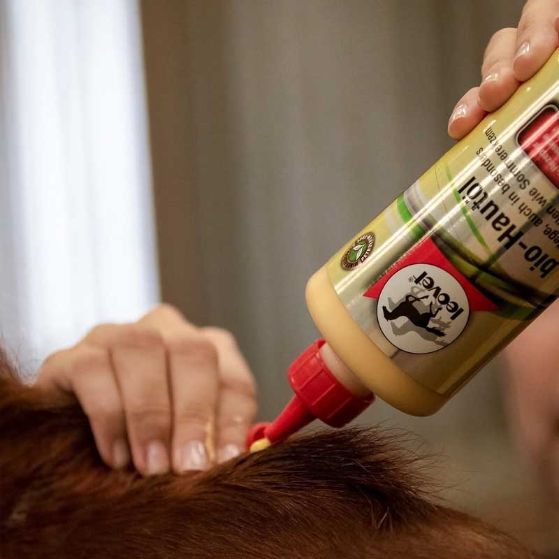 Leovet bio skin oil smørres på hest